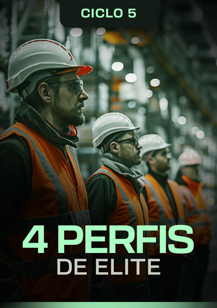 4 PERFIS